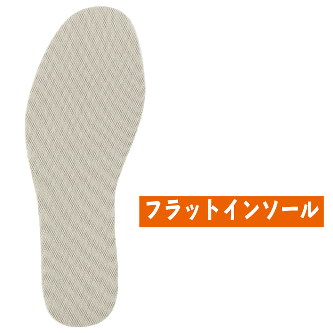 フォーカス F-21