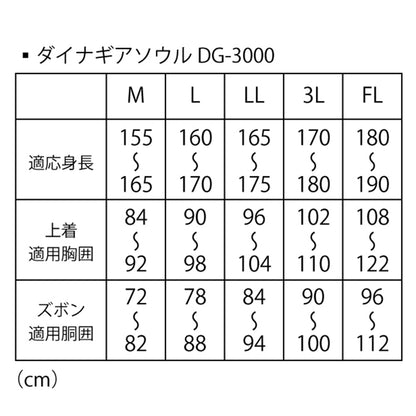 ダイナギアソウル　ＤＧ－３０００