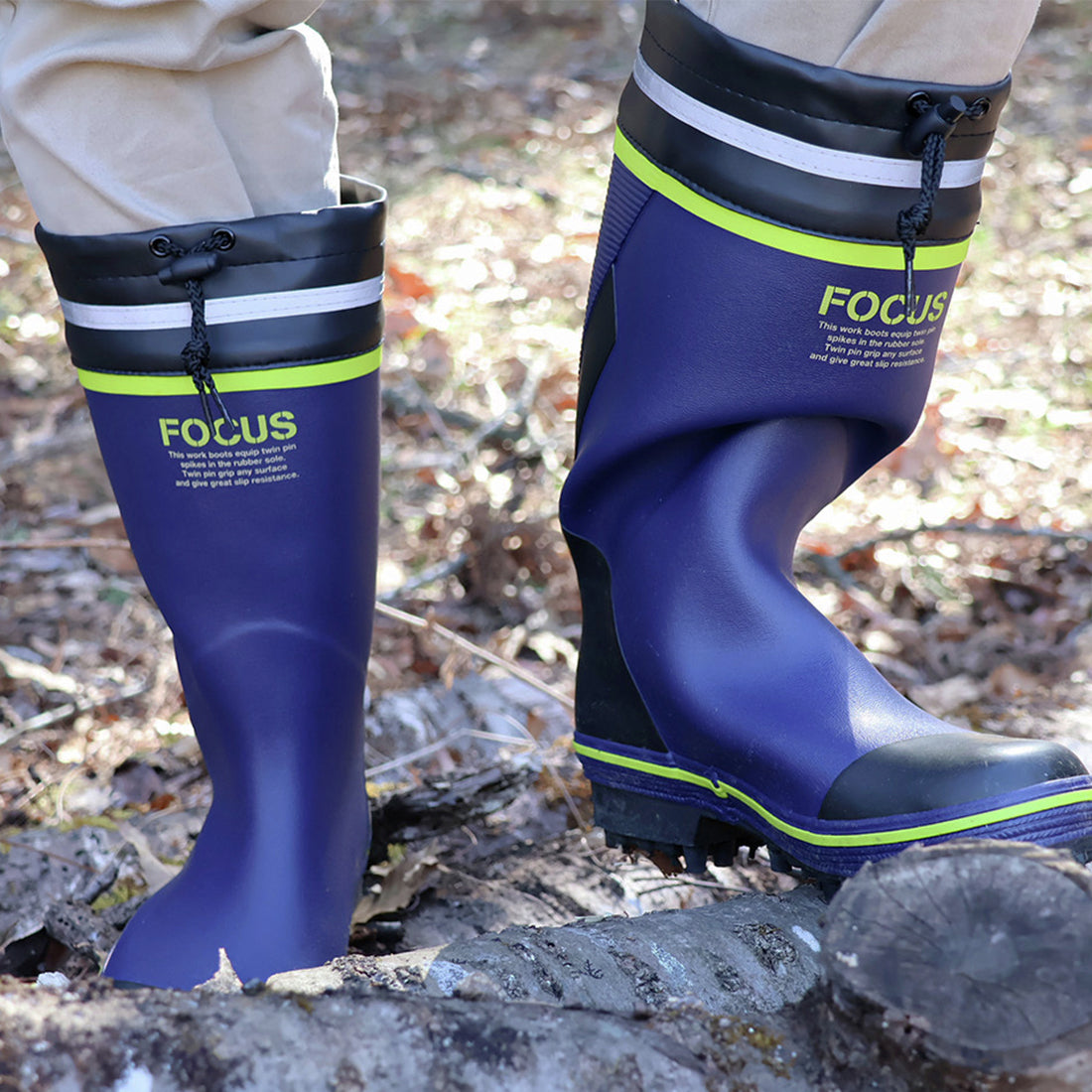 フォーカス　Ｆ－２２