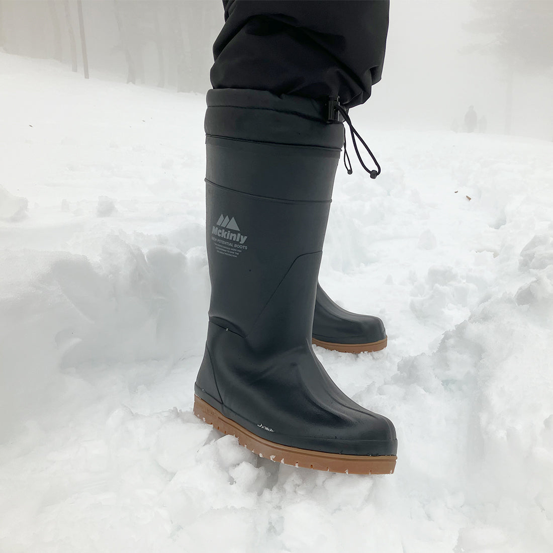 マッキンリー　H ー５６W