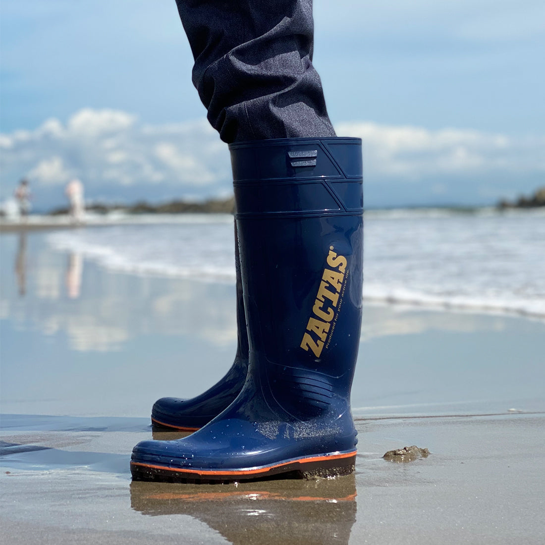 ザクタス　Ｚ－１００